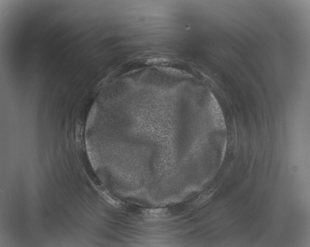 X0000082760281200702162033