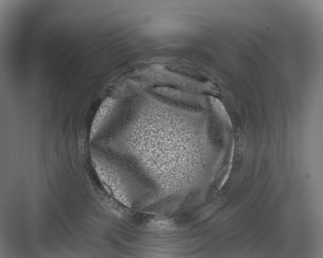 X0000082760283200702162033