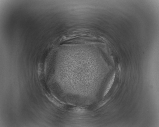 X0000082760284200702162033