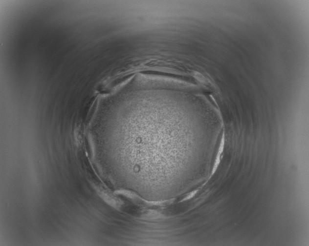 X0000082760285200702162033