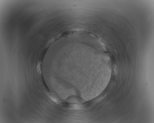 X0000082760286200702162033