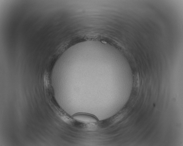 X0000082760287200702162033