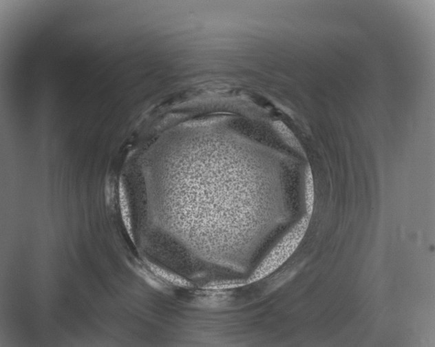 X0000082760288200702162033