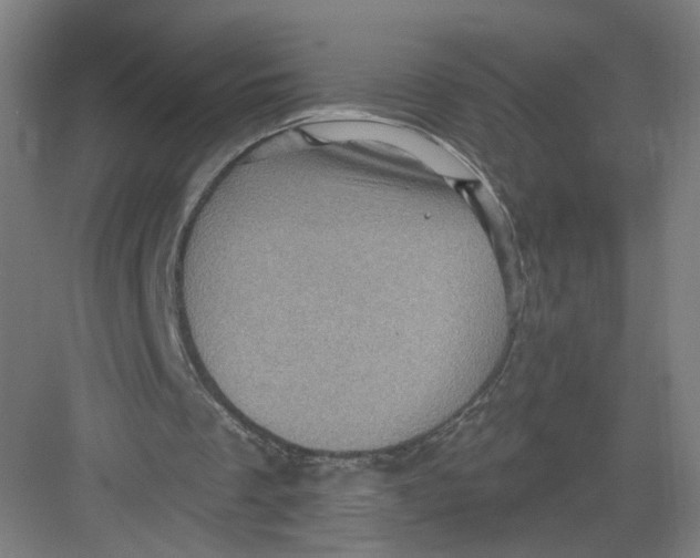 X0000082760289200702162032