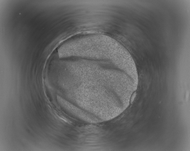 X0000082760290200702162032