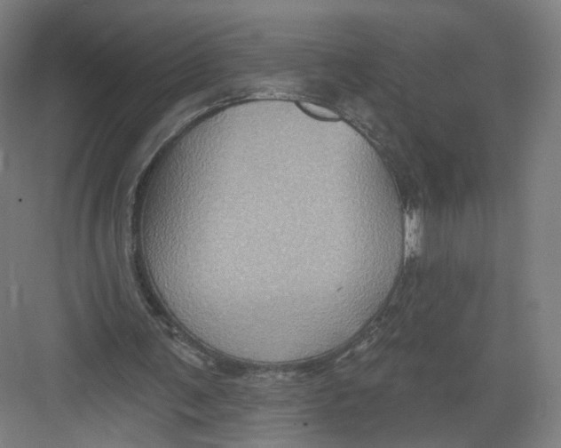 X0000082760291200702162032