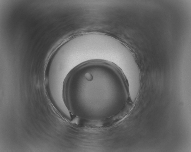 X0000082760293200702162032