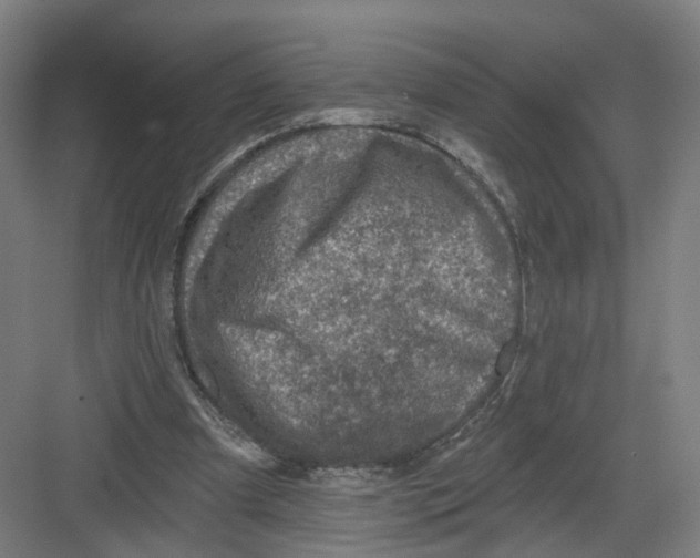 X0000082760297200702162032