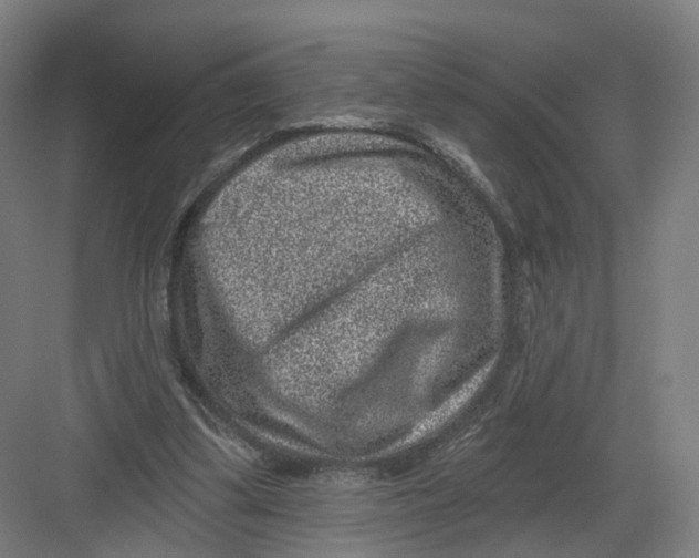 X0000082760299200702162032