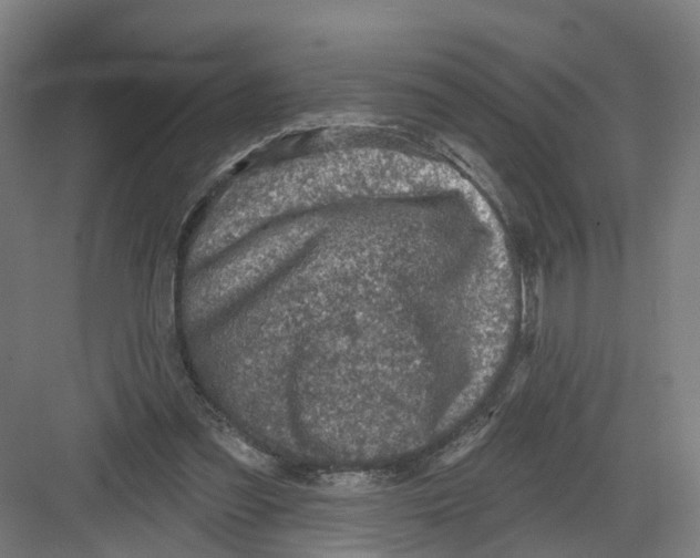 X0000082760301200702162032