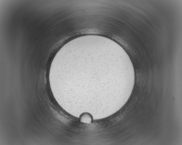 X0000082760302200702162032