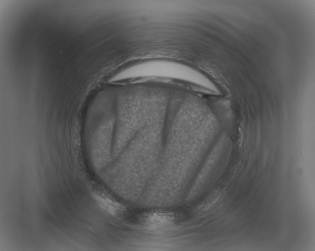 X0000082760303200702162032