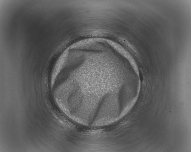 X0000082760306200702162032