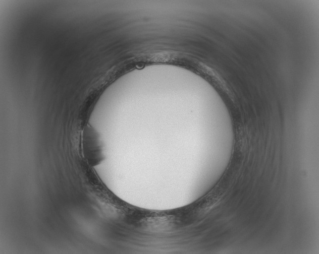 X0000082760307200702162032