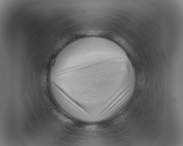 X0000082760309200702162032