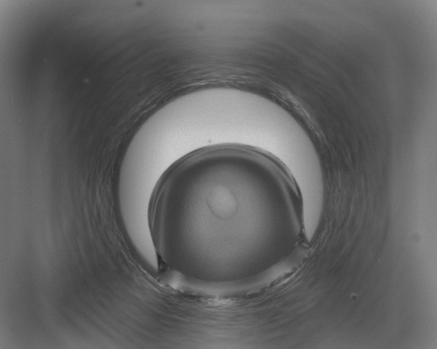 X0000082760313200702162032