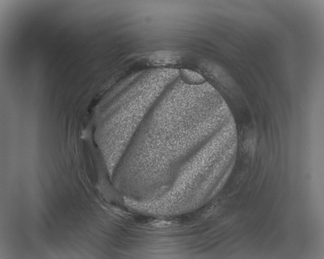 X0000082760315200702162032