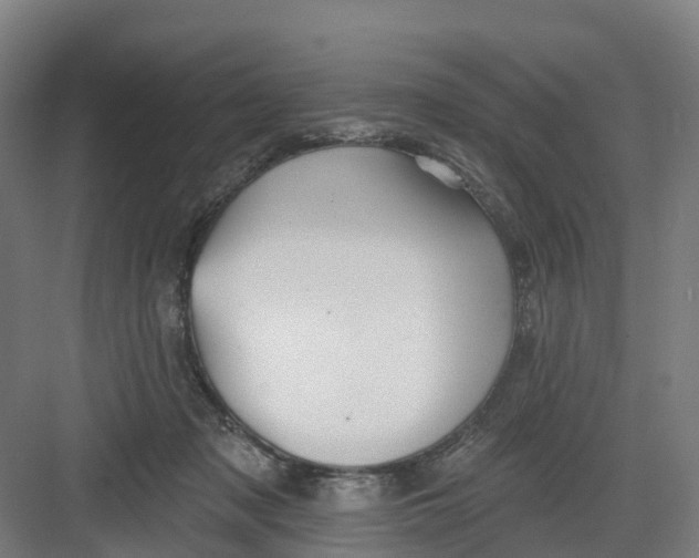 X0000082760317200702162032