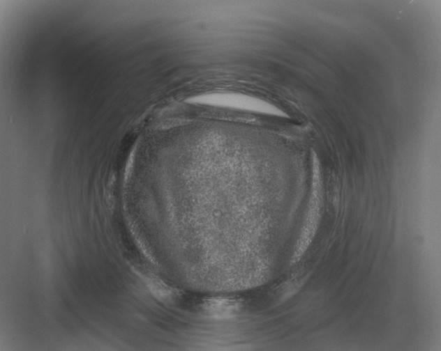 X0000082760319200702162032