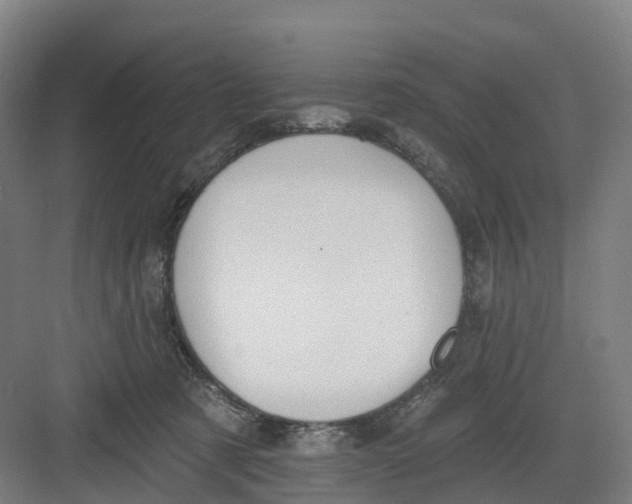 X0000082760321200702162032