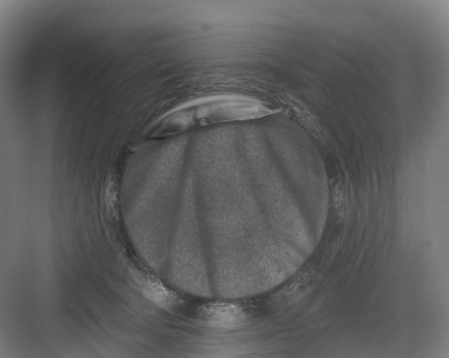 X0000082760322200702162032