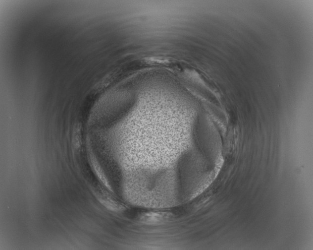 X0000082760323200702162032