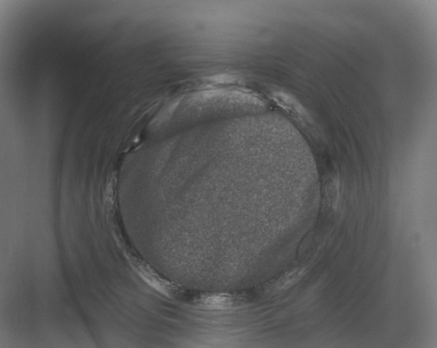 X0000082760325200702162032