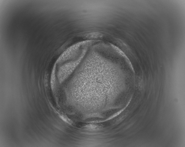 X0000082760326200702162032