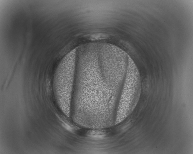 X0000082760327200702162032