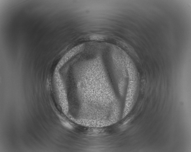 X0000082760329200702162032