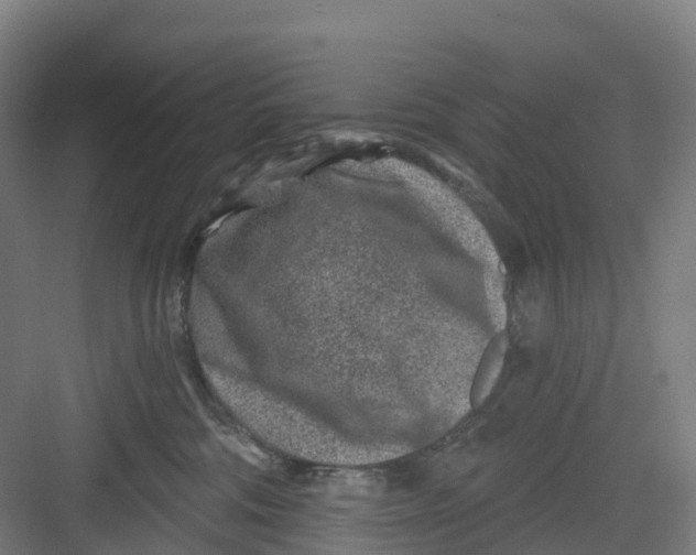 X0000082760330200702162032