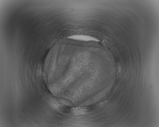 X0000082760331200702162032