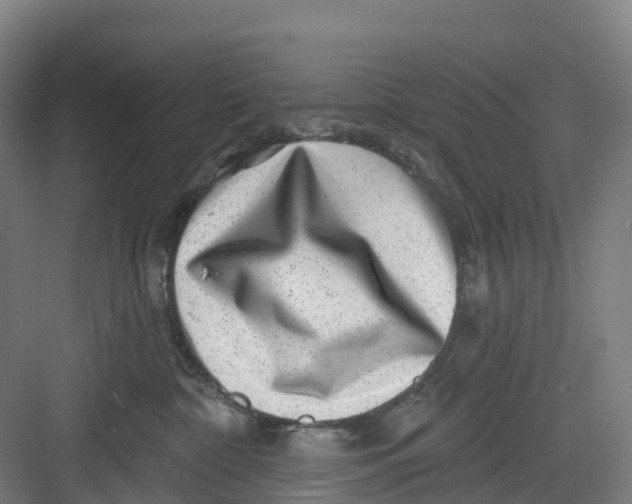 X0000082760332200702162032