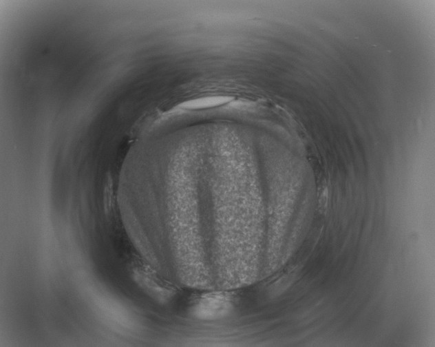 X0000082760335200702162032