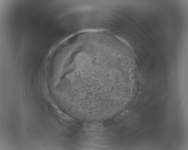 X0000082760337200702162031