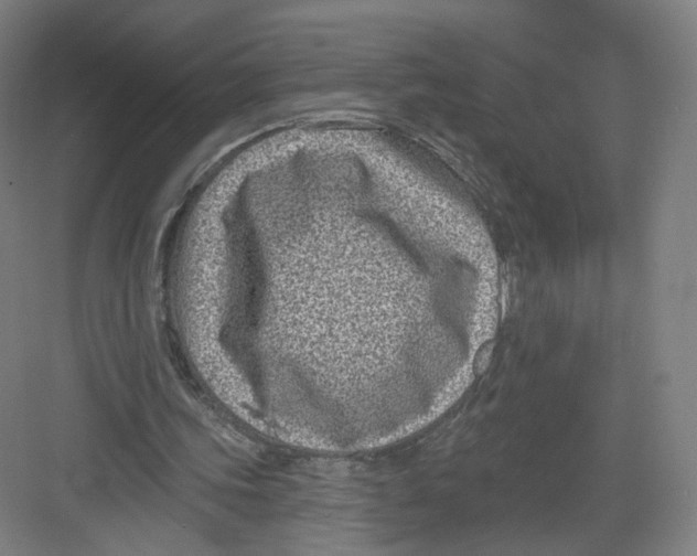 X0000082760339200702162031