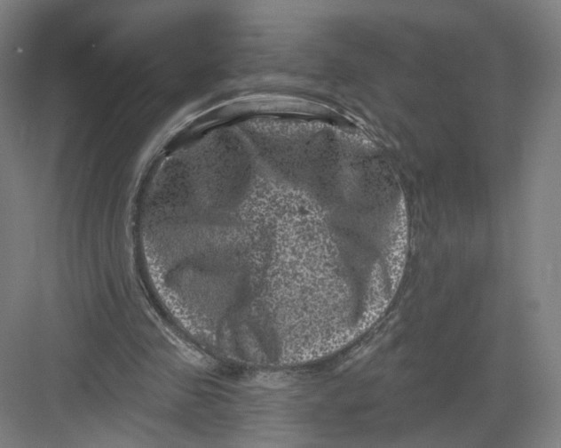 X0000082760341200702162031