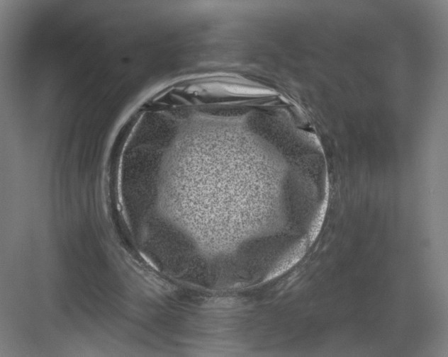 X0000082760342200702162031