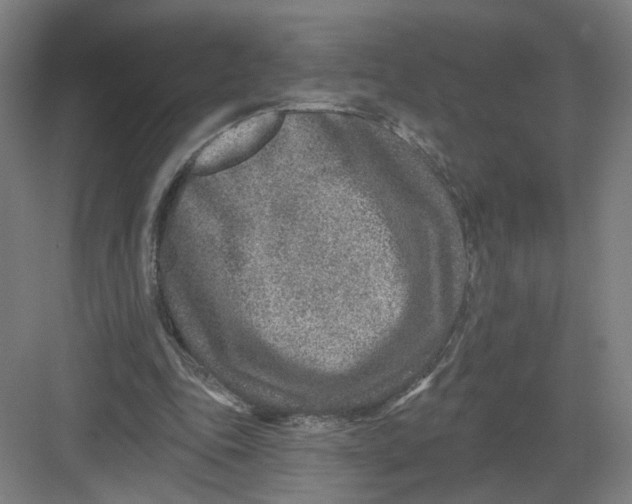 X0000082760343200702162031