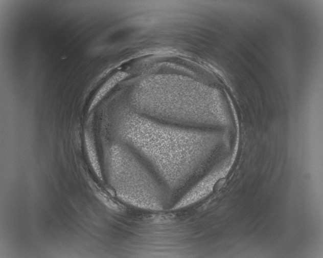 X0000082760345200702162031