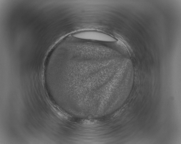 X0000082760346200702162031