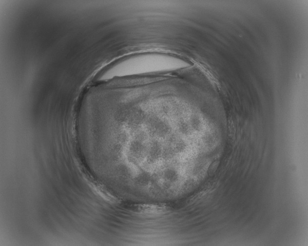 X0000082760347200702162031