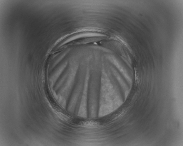 X0000082760348200702162031