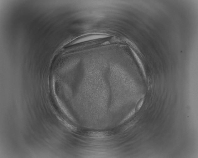 X0000082760349200702162031