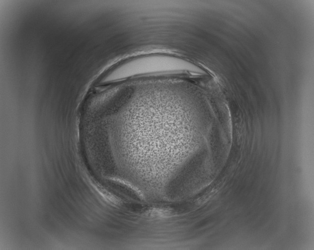 X0000082760350200702162031