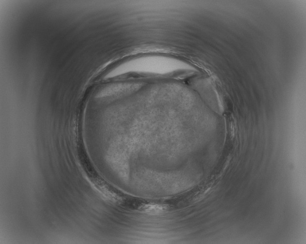 X0000082760352200702162031