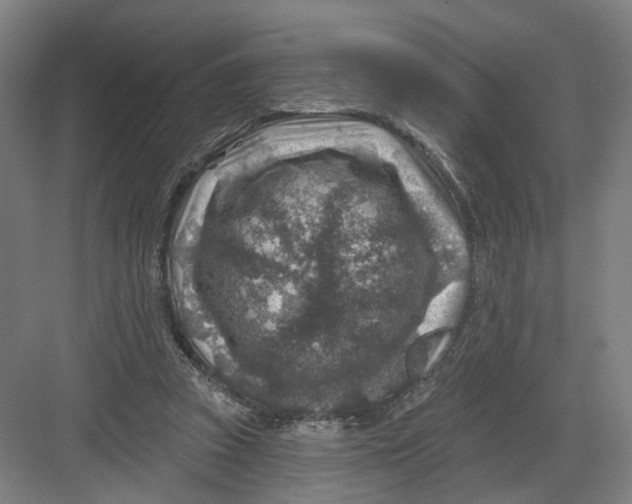 X0000082760353200702162031