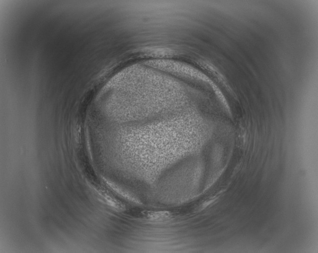 X0000082760355200702162031