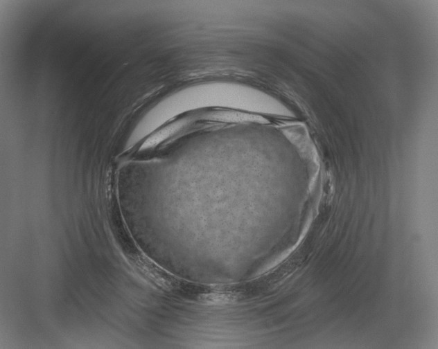 X0000082760356200702162031