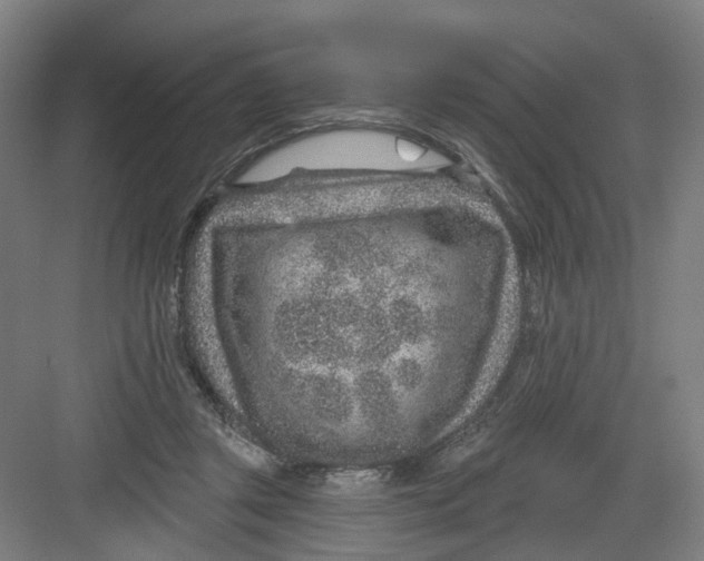 X0000082760357200702162031